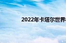 2022年卡塔爾世界杯亞洲區預選賽積分榜