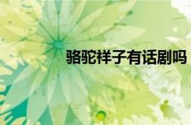 駱駝祥子有話劇嗎（駱駝祥子 同名話?。?></a></div>
							</div>
							<div   id=