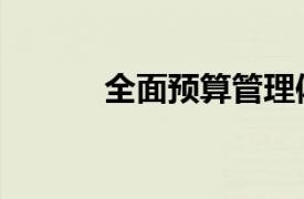 全面預(yù)算管理體系（全面預(yù)算）