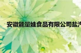 安徽能量娃食品有限公司鹽汽水（安徽能量娃食品有限公司）
