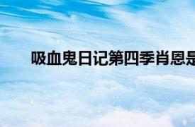 吸血鬼日記第四季肖恩是什么（吸血鬼日記第四季）