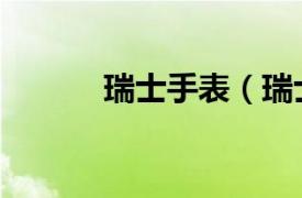 瑞士手表（瑞士軍工攝像手表）
