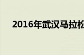 2016年武漢馬拉松（2016武漢馬拉松）