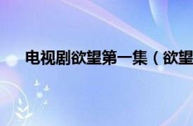 電視劇欲望第一集（欲望 2000年劉德凱主演電視劇）