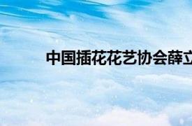 中國插花花藝協(xié)會(huì)薛立新（中國插花花藝協(xié)會(huì)）