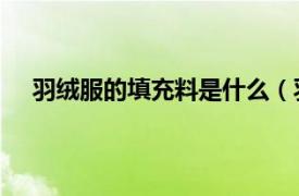 羽絨服的填充料是什么（羽絨服 內充羽絨填料的上衣）