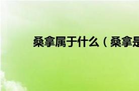 桑拿屬于什么（桑拿是什么相關內容簡介介紹）