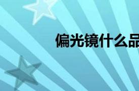 偏光鏡什么品牌好（偏光鏡）