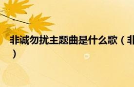 非誠勿擾主題曲是什么歌（非誠勿擾 電視劇《是！尚先生》插曲）