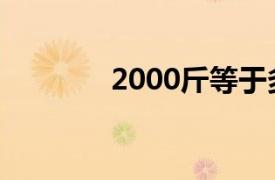 2000斤等于多少噸（2000）