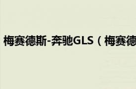 梅賽德斯-奔馳GLS（梅賽德斯-奔馳S600GuardPullman）