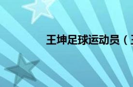 王坤足球運動員（王攀 中國足球運動員）