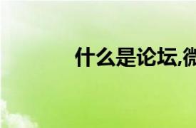 什么是論壇,微博（微博論壇）