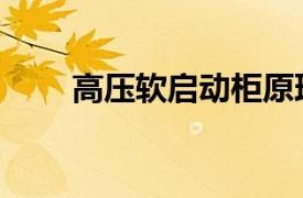 高壓軟啟動柜原理圖（高壓軟啟動）