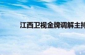 江西衛視金牌調解主持人章亭簡歷（江西衛視）
