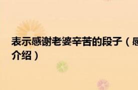 表示感謝老婆辛苦的段子（感謝老婆的辛苦一段話相關內容簡介介紹）