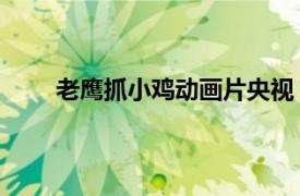 老鷹抓小雞動畫片央視（老鷹捉小雞 國產動畫片）