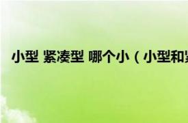 小型 緊湊型 哪個小（小型和緊湊型哪個大相關內容簡介介紹）