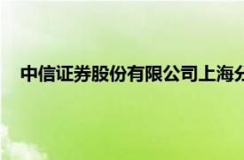 中信證券股份有限公司上海分公司（中信證券股份有限公司）