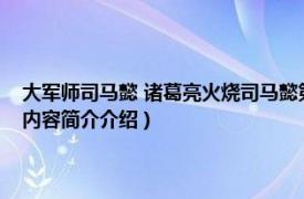 大軍師司馬懿 諸葛亮火燒司馬懿第幾集（諸葛亮火燒司馬懿是第幾集相關(guān)內(nèi)容簡介介紹）