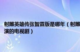 射雕英雄傳張智霖版是哪年（射雕英雄傳 張智霖版 1994年張智霖、朱茵主演的電視劇）