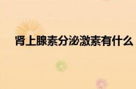 腎上腺素分泌激素有什么（腎上腺素 人體分泌的激素）