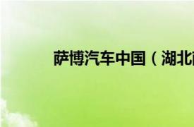 薩博汽車中國（湖北薩博汽車銷售有限公司）