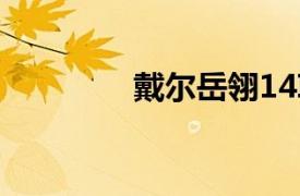 戴爾岳翎14I1464D-138B