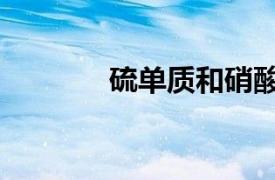 硫單質和硝酸反應（硫單質）