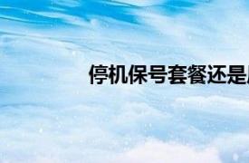 停機(jī)保號套餐還是原來的嗎（停機(jī)保號）