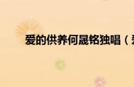 愛的供養何晟銘獨唱（愛的供養 何晟銘原唱歌曲）