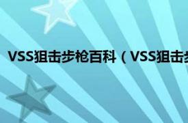 VSS狙擊步槍百科（VSS狙擊步槍 前蘇聯研發的微聲狙擊步槍）