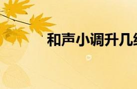 和聲小調升幾級音（和聲小調）