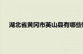 湖北省黃岡市英山縣有哪些鎮（英山縣 湖北省黃岡市轄縣）