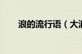 浪的流行語（大浪淘沙 網絡流行詞）