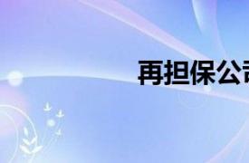 再擔(dān)保公司（再擔(dān)保）