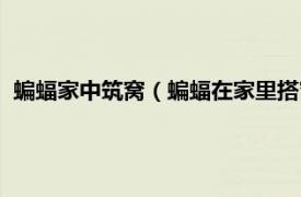 蝙蝠家中筑窩（蝙蝠在家里搭窩預示著什么相關內容簡介介紹）