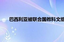 巴西利亞被聯(lián)合國教科文組織確定為人類文化遺產(chǎn)的理由