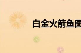 白金火箭魚圖片（白金火箭）
