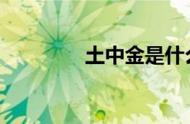 土中金是什么數(shù)字（土中）