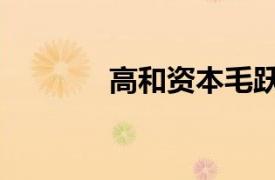 高和資本毛躍暉（高和資本）