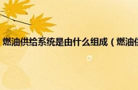 燃油供給系統是由什么組成（燃油供給系統有什么組成相關內容簡介介紹）