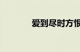 愛到盡時方恨少（愛到盡時）