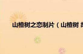 山楂樹之戀制片（山楂樹 胡雪楊與秦曄執導的知青電影）