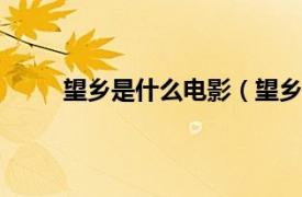 望鄉是什么電影（望鄉 1958年鄭昌和導演電影）