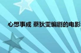 心想事成 蔡狄雯編劇的電影（心想事成 蔡狄雯編劇的電影）