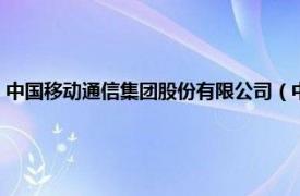 中國移動通信集團股份有限公司（中國移動通信集團公司在線服務分公司）