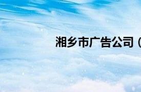 湘鄉市廣告公司（湘振墻體廣告公司）
