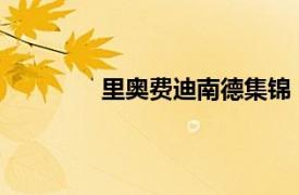 里奧費迪南德集錦（費迪南德-邁格里奧）