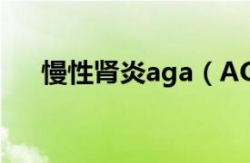 慢性腎炎aga（AGN 急性腎小球腎炎）